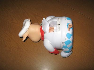 Back of the Pig